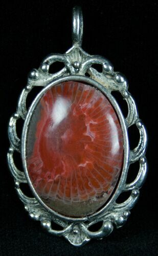 Fossil Red Horn Coral Pendant - Utah #7111